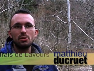 On sauve des Grenouilles