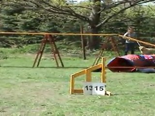 "Zuikelio taurė" - AstaxHila1