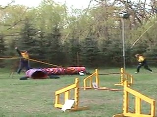 "Zuikelio taurė" - AstaxHila2