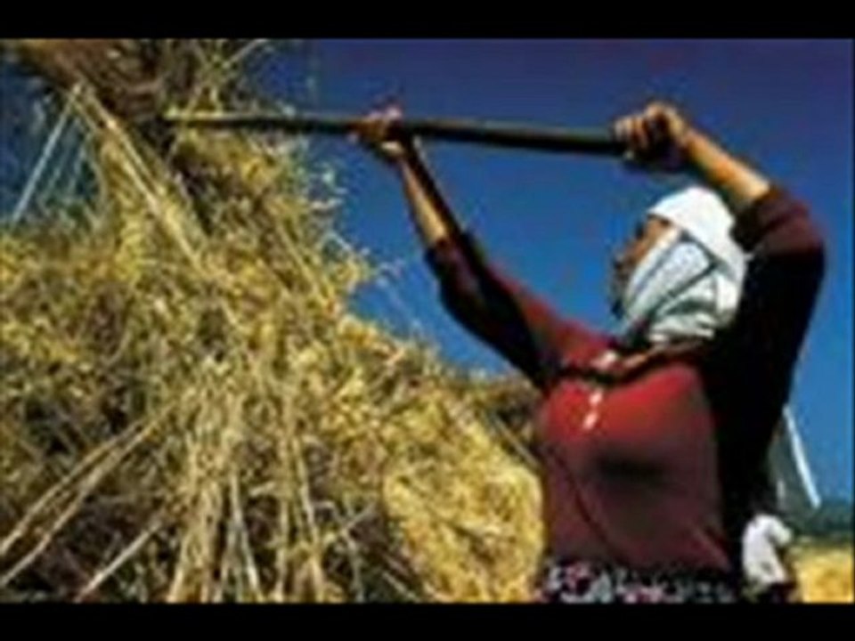 MAHMUT POLAT - YASLANMIŞ KÖYÜME SIRALI DAGLAR