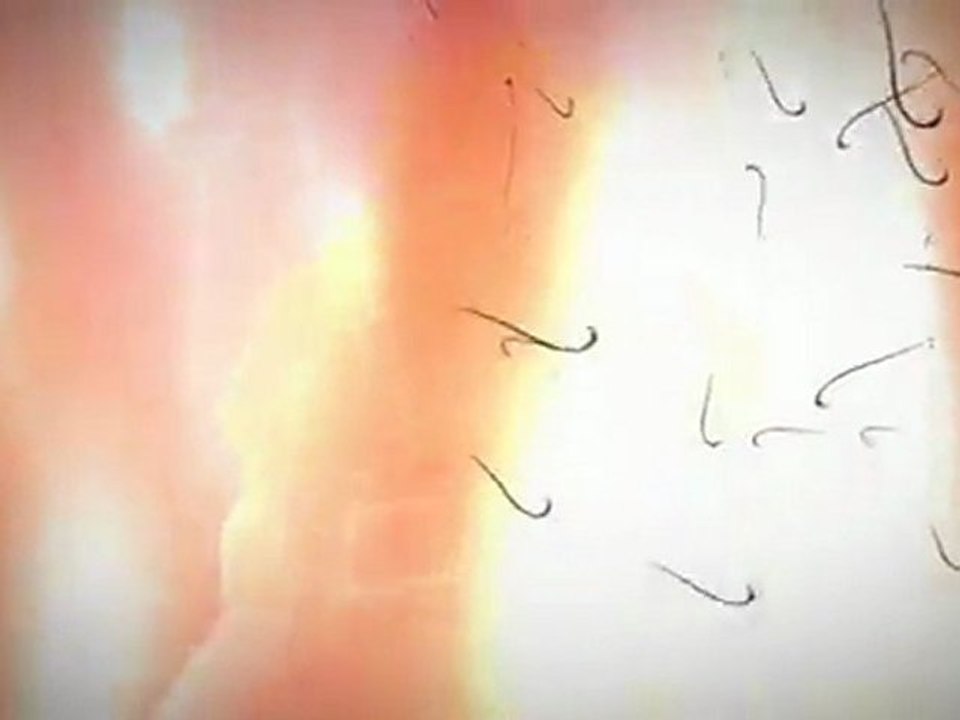 WoW Cataclysm Trailer