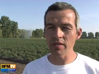 Les cultures victimes de la sécheresse en Alsace