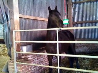 Vox et sa pomme d'amour LOL