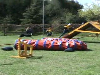 "Zuikelio taurė" - ErnaxDžija2