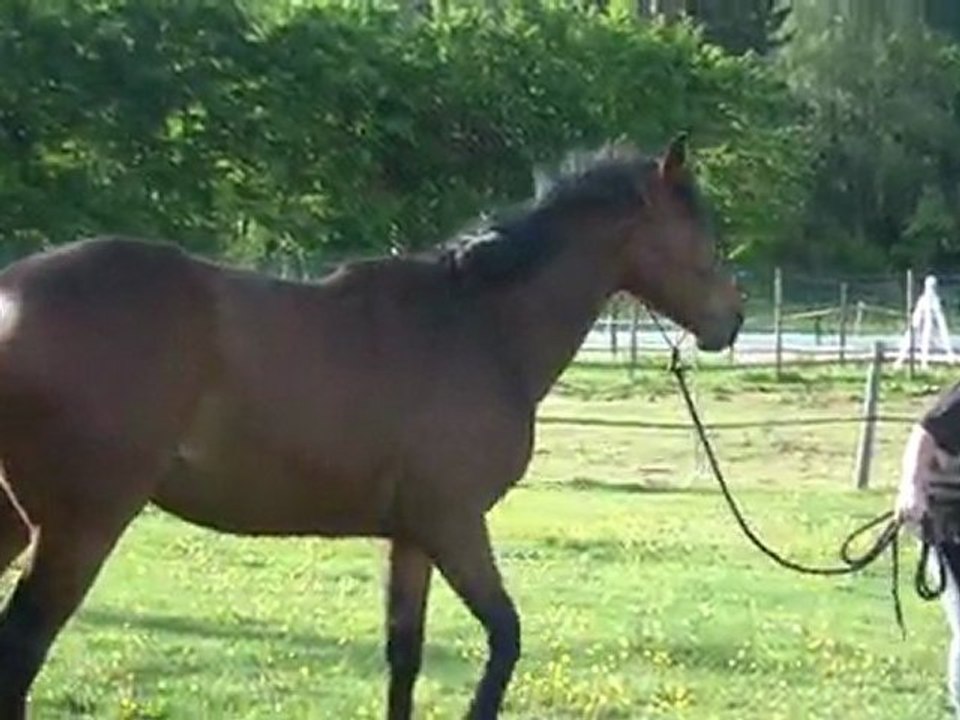 07.05.2011.Deuxième séance de douche pour Tiloa (a)