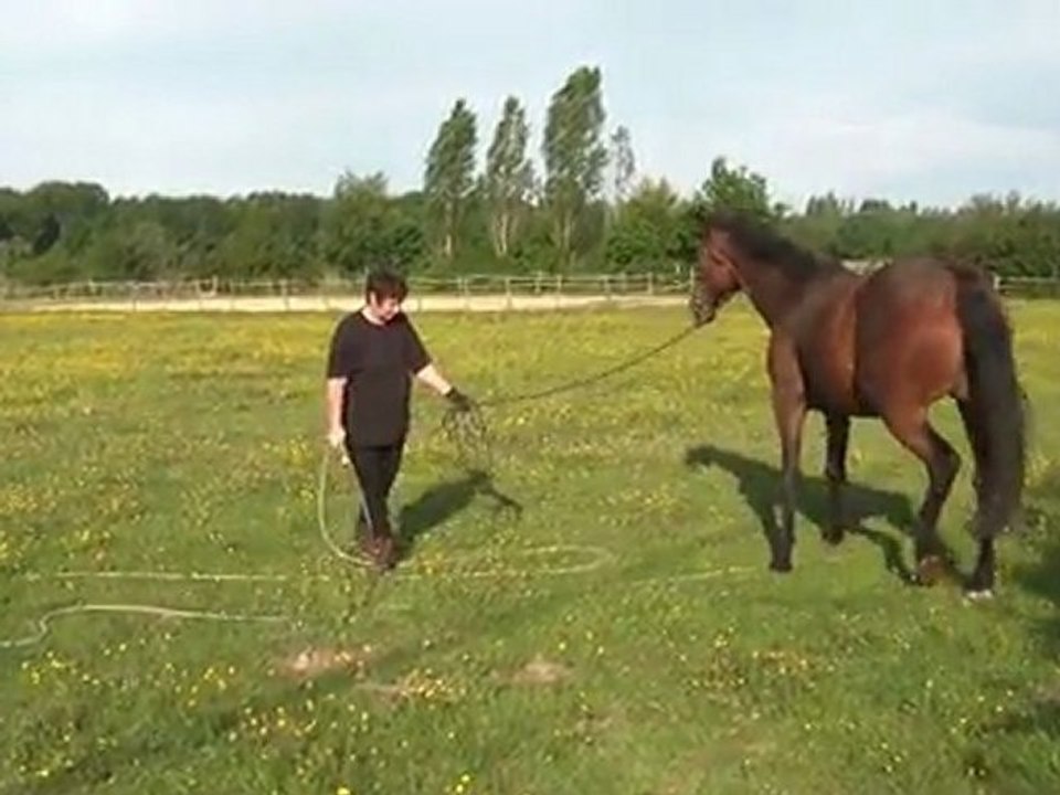 07.05.2011.Deuxième séance de douche pour Tiloa (b)
