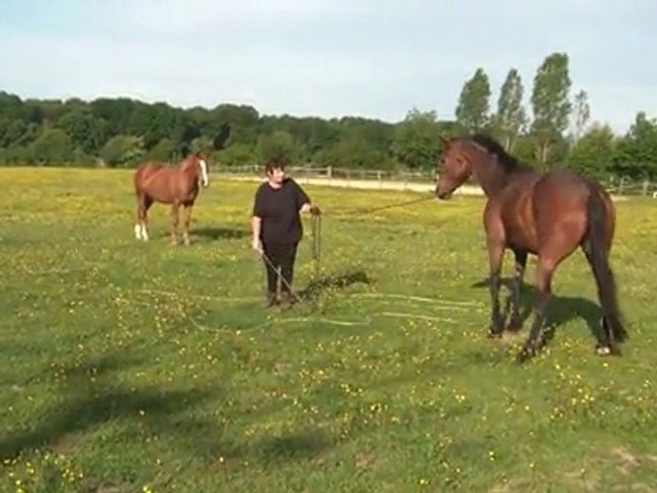 07.05.2011.Deuxième séance de douche pour Tiloa (e)