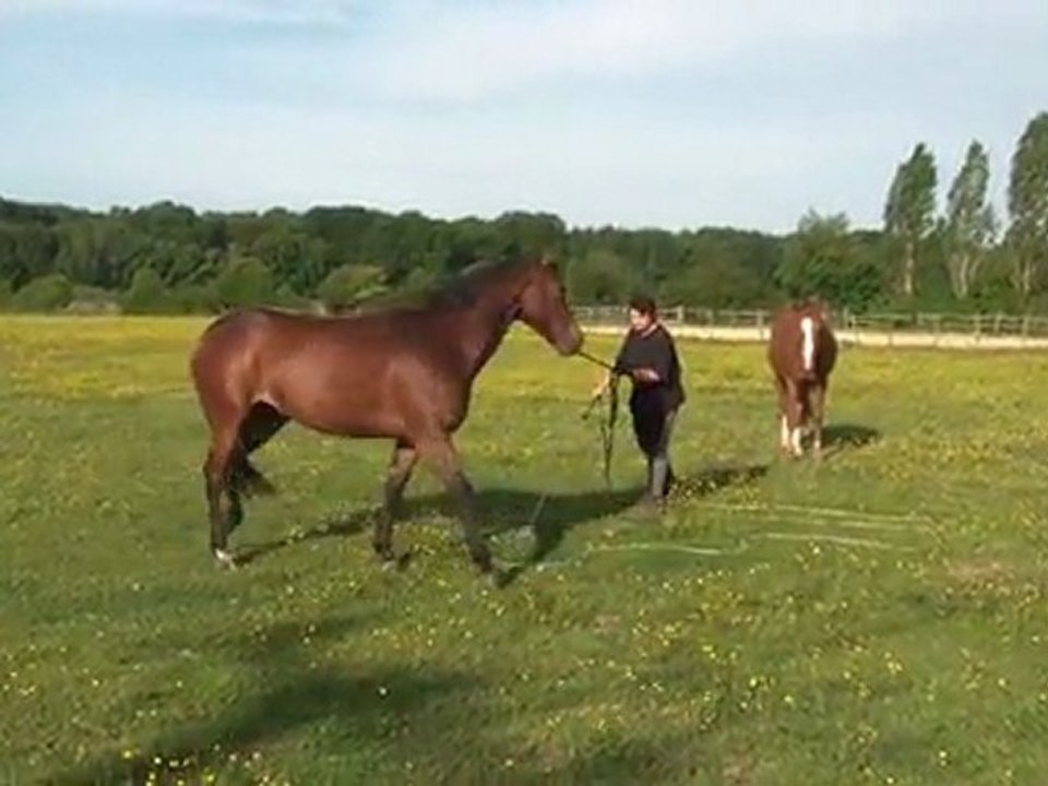07.05.2011.Deuxième séance de douche pour Tiloa (d)
