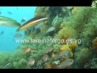 NURIA FERGÓ EN TECNÓPOLI, DE CANAL SUR