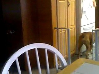 Round and Round We Go!