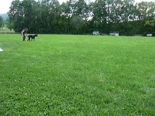 Obé 06082010 rapport recul P1010062