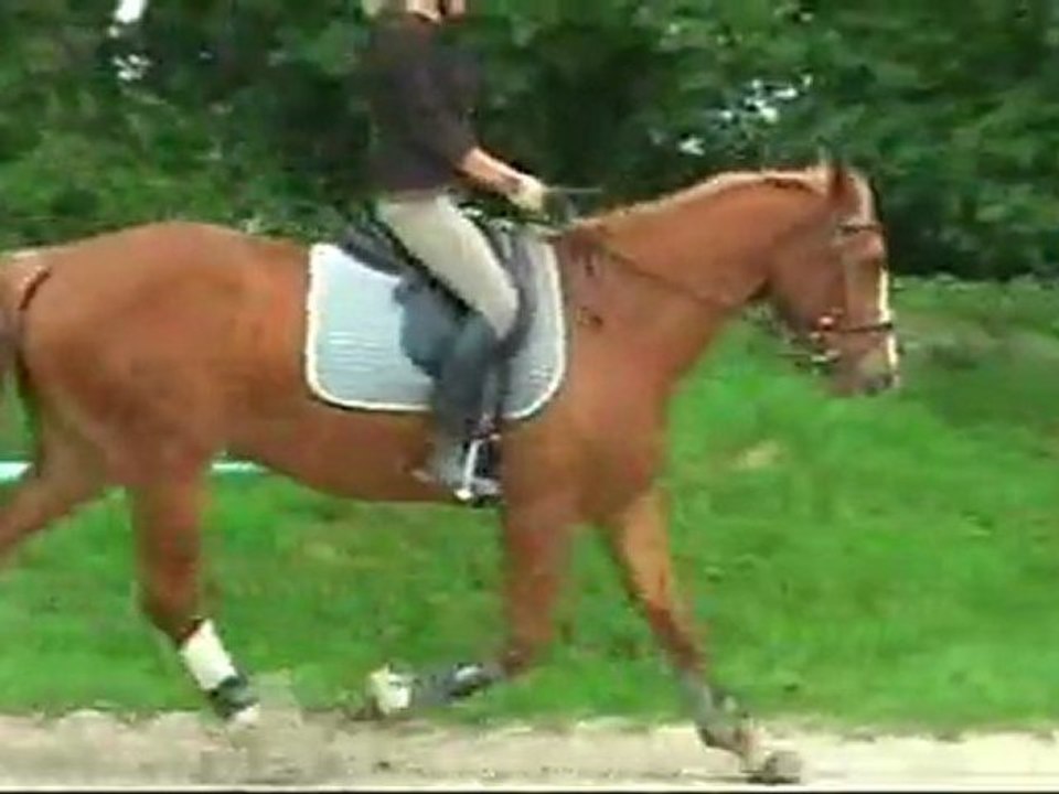 timéo 2011