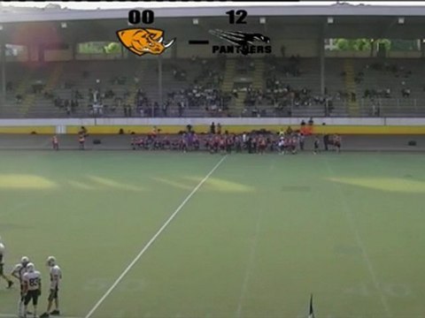 Rhinos - Black Panthers