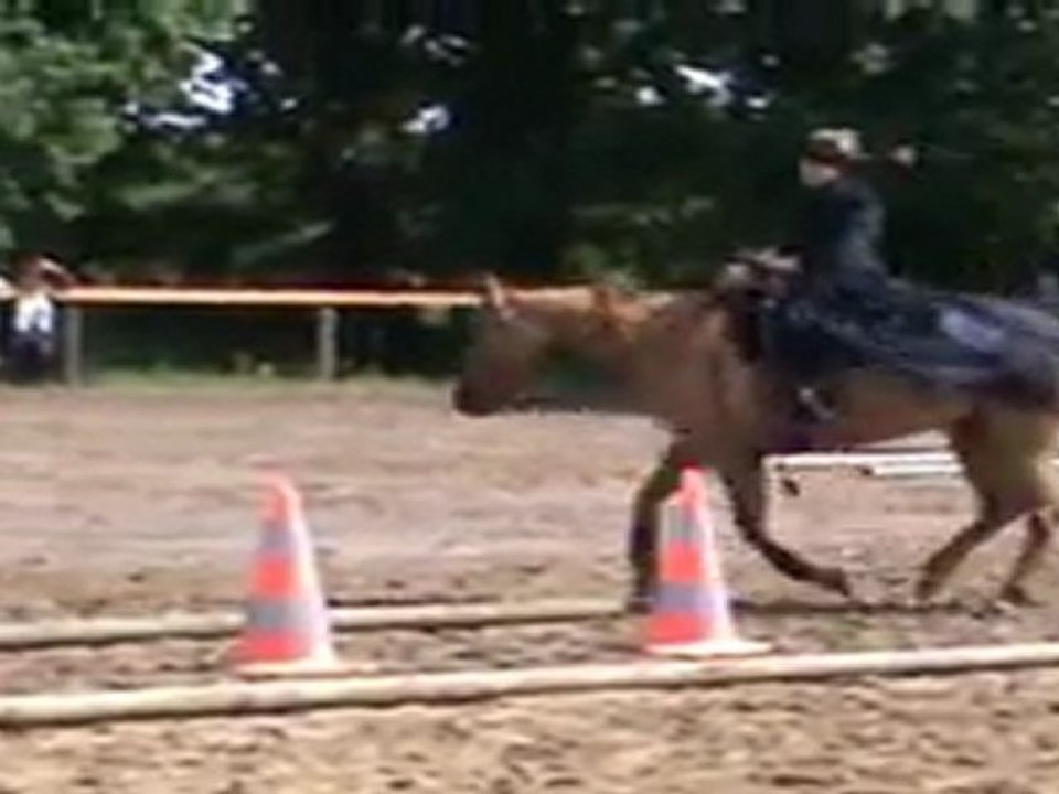 mon 1er trail freestyle
