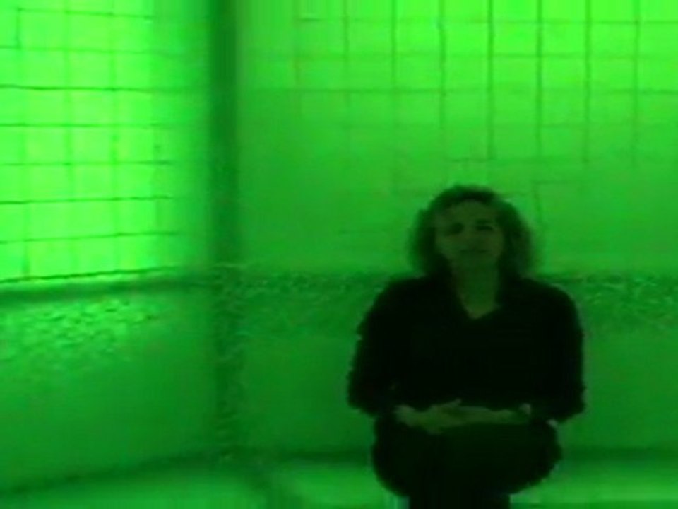 Gazelle termal otel - Bolu 2011