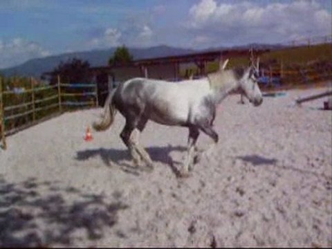 Derniers exos que Safran a appris en liberté