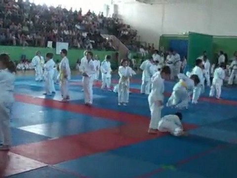 2011 05 07 Judo Club Vélizy Gala 60 ans