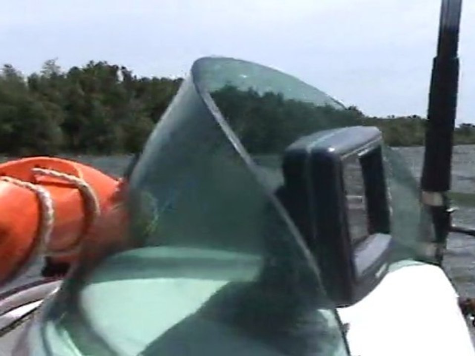 Silure Club Rhodanien : Initiation pêche au silure pour la Fédération de pêche de l'Ardèche