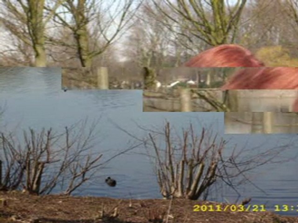 Nedim varol,Tufanbeyli, Adana,2011  sevemedim