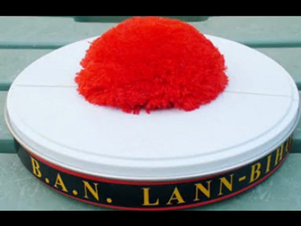 Gavotte de l'aven Bagad de Lann Bihoue