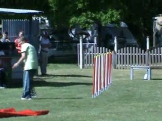 Elyte  1er degré Le Subdray 05