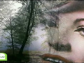 Handan Kara /Bülbül Ne Gezersin Çukurova'da   (Musıki Dergahı)