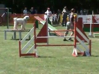 Choco GPF Le Subdray 05 2011