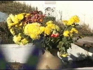 PEQUEÑOS MILAGROS DE UN ANGEL DEL PUEBLO