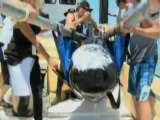 Rescuers release stranded whales in Florida