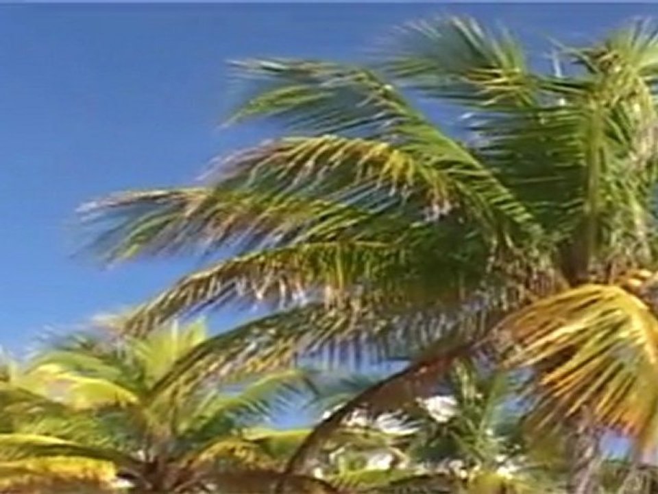 SUR LES TRACES de BOB MARLEY DEBUT