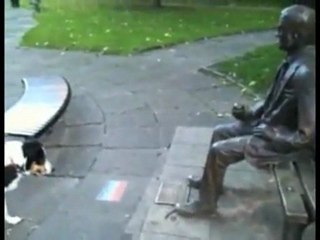 Chien veut jouer avec une statue