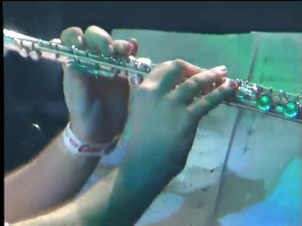 Le Geek Music Show en 2010 à Japan Expo 11e Impact