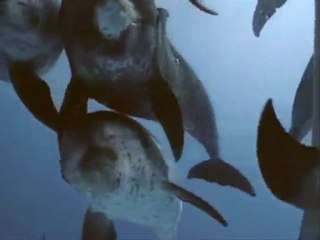 COSTURAS MARINAS-11.