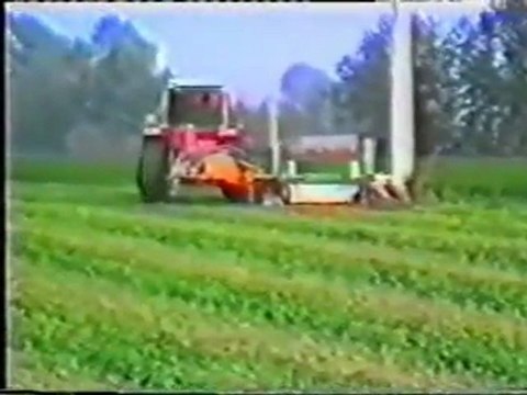 Gemelli kasza 2 -1.rész Ádám és Társa Kft. / Gemelli rakes