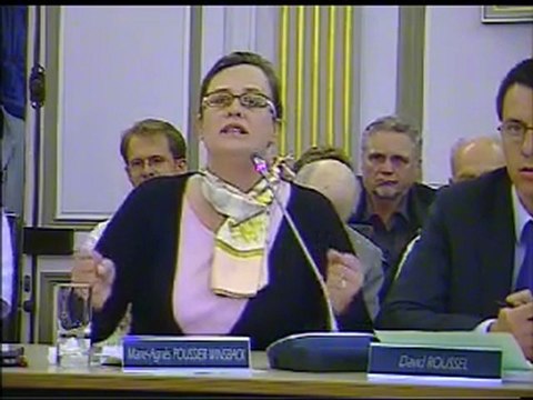 6éme partie du Conseil Municipal du 6 mai 2011