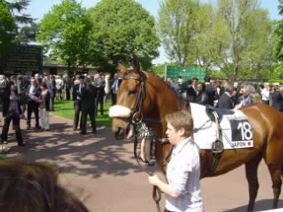 Dimanche au galop du dimanche 17 avril 2011 à l'hippodrome d'auteuil
