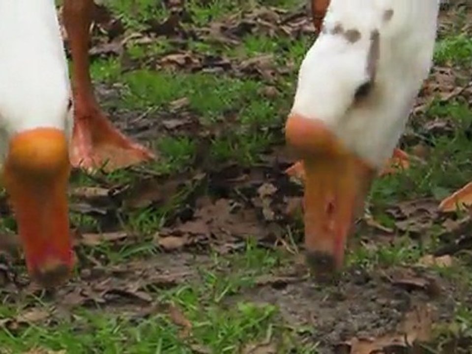 Sans Additif en Studio : les images