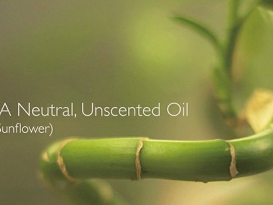 massage course online