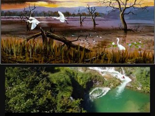 Ala recherche du bonheur perdu_0001