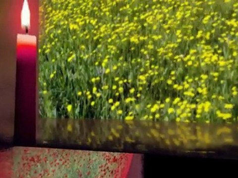 Mehmet TOPÇU yeşil ördek gibi daldım göllere