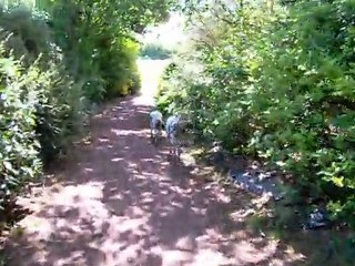 POOPY joue à cache cache