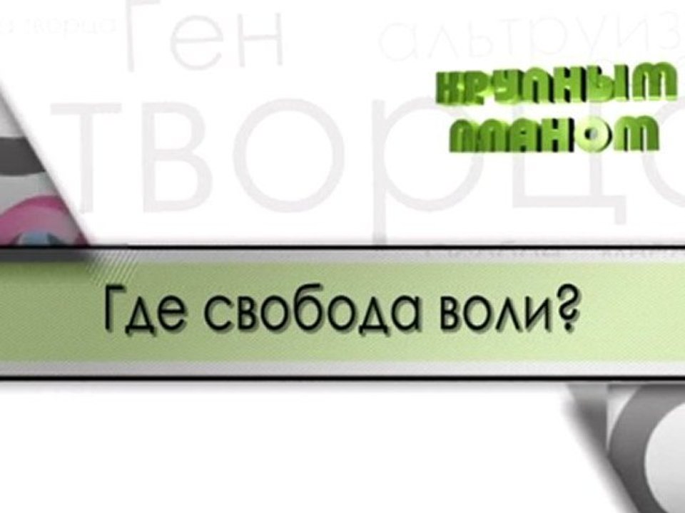 Где свобода воли?