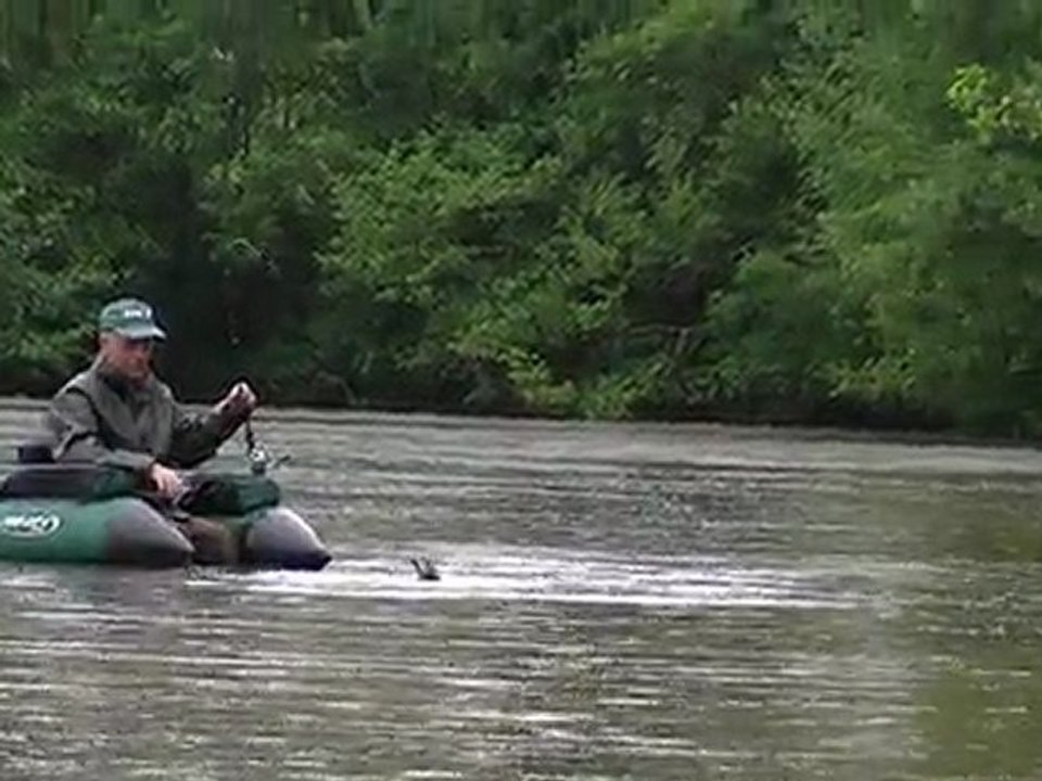 black bass au leurre