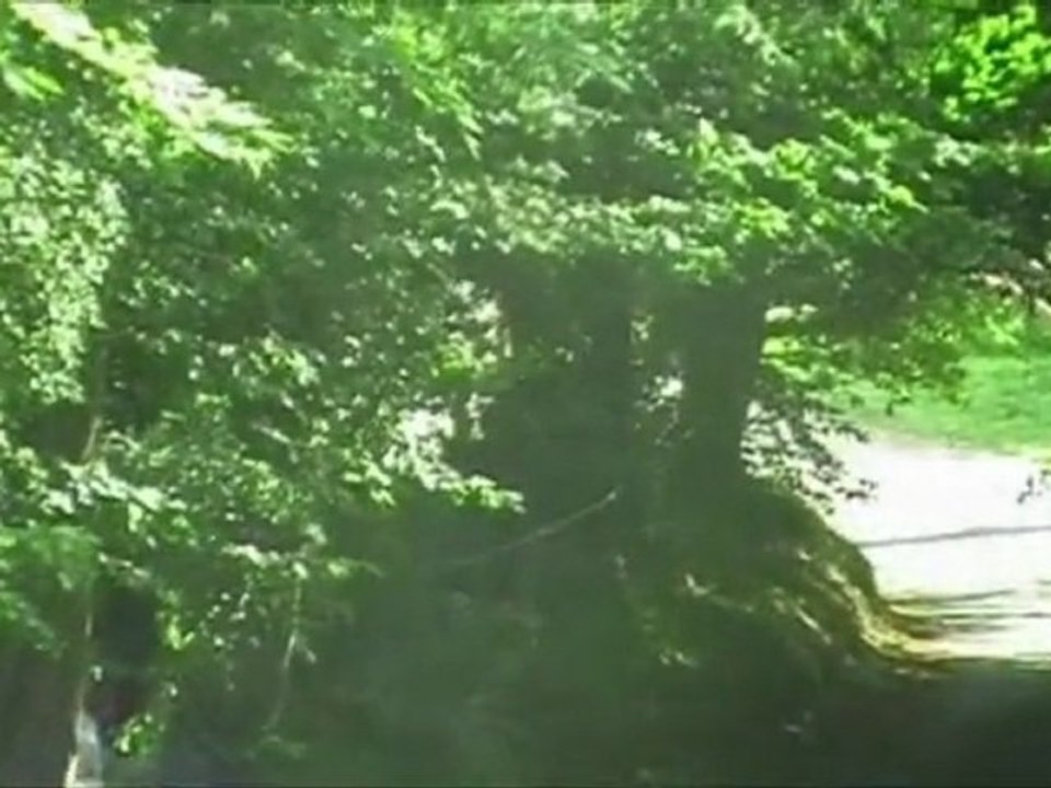 rallye de dieppe 2011