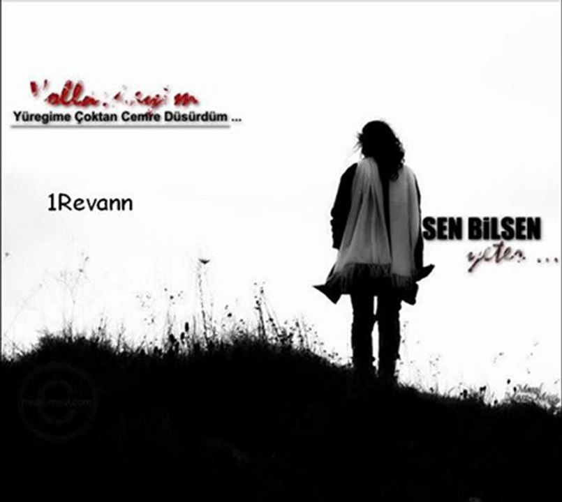 Tayfun Talipoğlu Sen Bilsen Yeter !