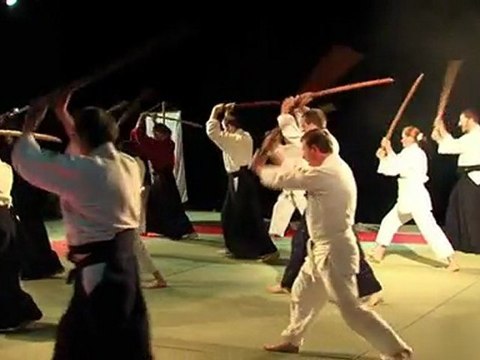 Reportage de TV Fil 78 sur la 10ème Nuit des Arts Martiaux - 2011