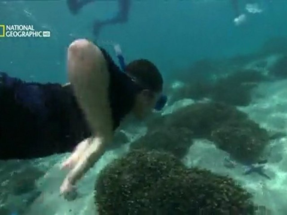 Cousteau's Adventures cd4