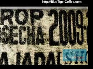 What type of brewer & carafe equipment does your Seattle Office Coffee Supply?