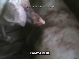 Earthlings-Dünyalılar Belgeseli 2.Bölüm (Türkçe altyazılı)