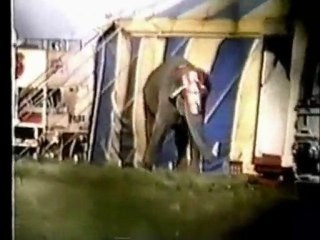 Earthlings-Dünyalılar Belgeseli 4.Bölüm (Türkçe altyazılı)